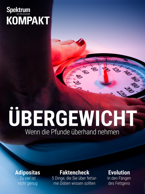 Spektrum Kompakt: &Uuml;bergewicht