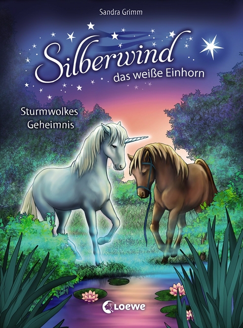 Silberwind, das wei&szlig;e Einhorn (Band 4) - Sturmwolkes Geheimnis - Sandra Grimm