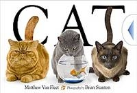 Cat -  Van Fleet