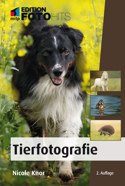 Tierfotografie - Nicole Knor