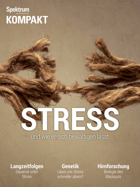 Spektrum Kompakt - Stress - 