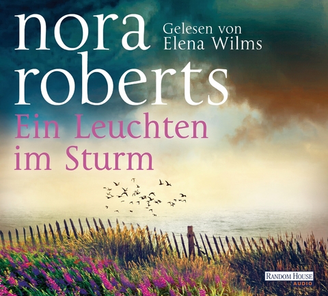 Ein Leuchten im Sturm - Nora Roberts