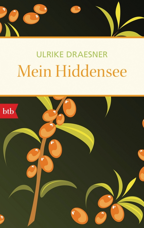 Mein Hiddensee - Ulrike Draesner