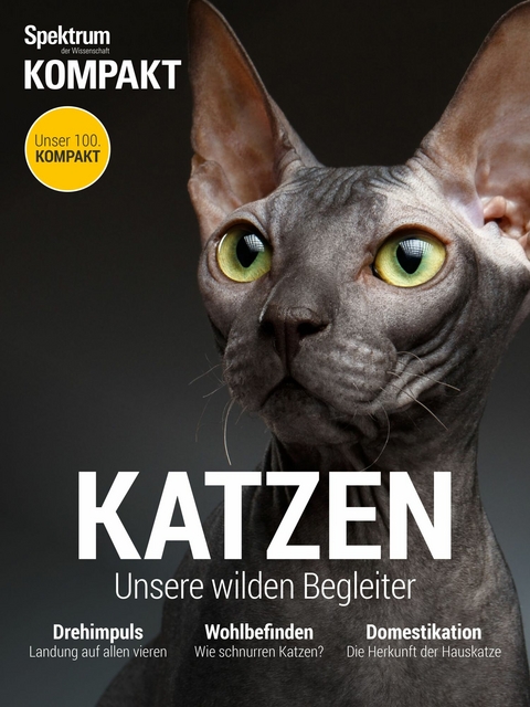 Spektrum Kompakt - Katzen - 