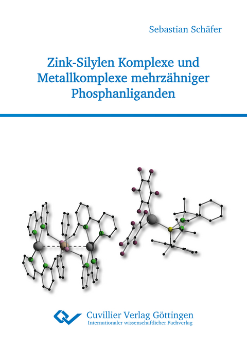 Zink-Silylen Komplexe und Metallkomplexe mehrz&auml;hniger Phosphanliganden - Sebastian Sch&auml;fer