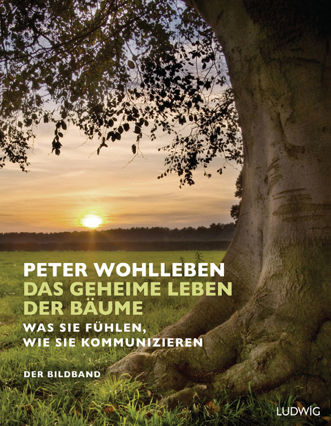 Das geheime Leben der Bäume - Peter Wohlleben