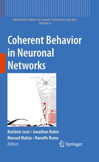 Coherent Behavior in Neuronal Networks