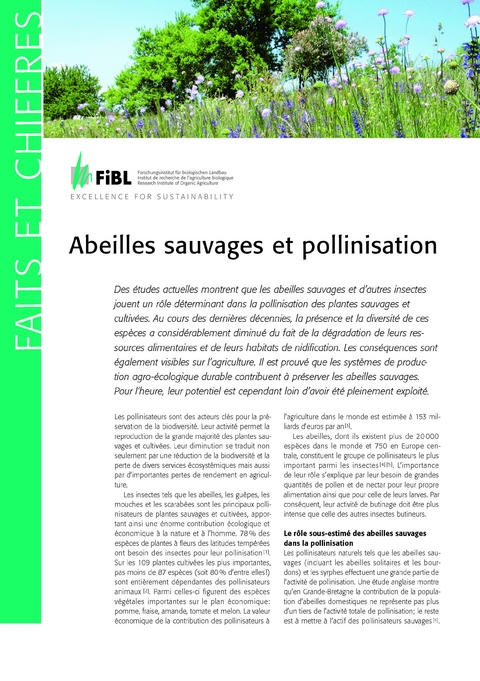 Abeilles sauvages et pollinisation - Lukas Pfiffner, Andreas M&uuml;ller