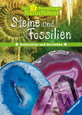 Steine und Fossilien
