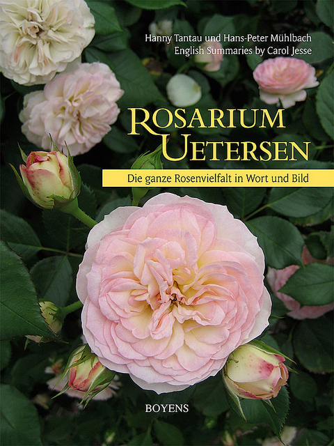 Rosarium Uetersen - Hanny Tantau, Hans P M&uuml;hlbach