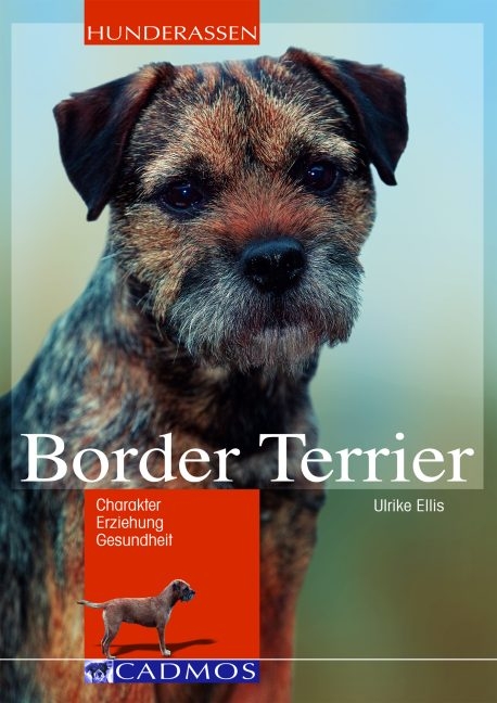 Border Terrier - Ulrike Ellis