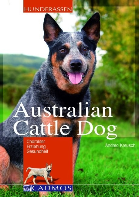 Australian Cattle Dog - Andrea Kreusch