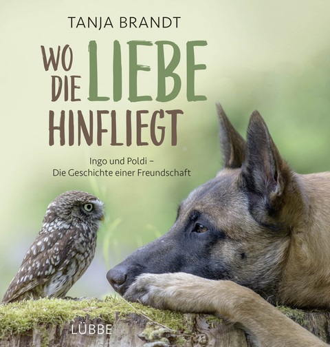 Wo die Liebe hinfliegt - Tanja Brandt