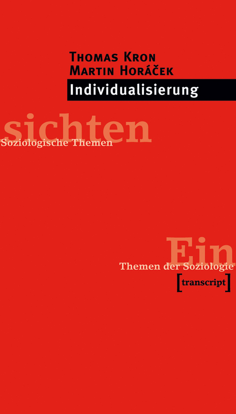 Individualisierung - Thomas Kron, Martin Hor&aacute;cek