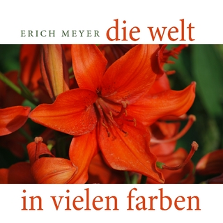 Die Welt in vielen Farben