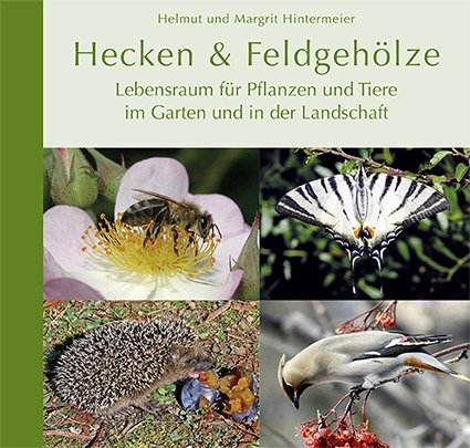 Hecken & Feldgeh&ouml;lze - 