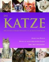 Die Katze