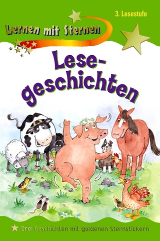 Lesegeschichten, 3. Lesestufe