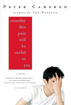 Someday This Pain Will Be Useful to You - Peter Cameron
