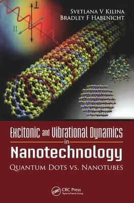 Excitonic and Vibrational Dynamics in Nanotechnology - 