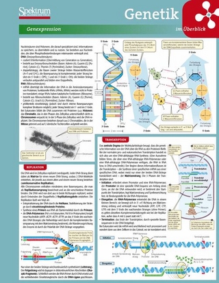 Lerntafel: Genetik im Überblick