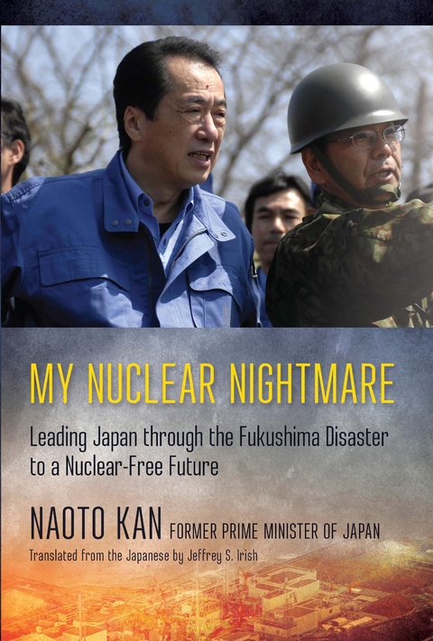 My Nuclear Nightmare - Naoto Kan