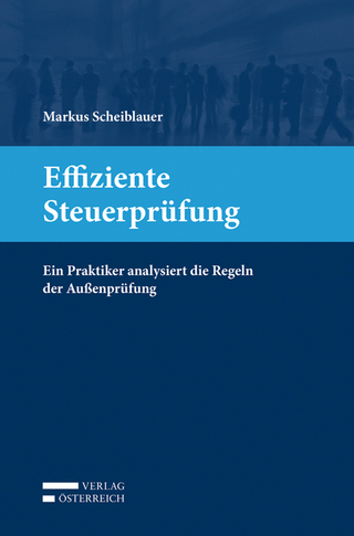 Effiziente Steuerprüfung