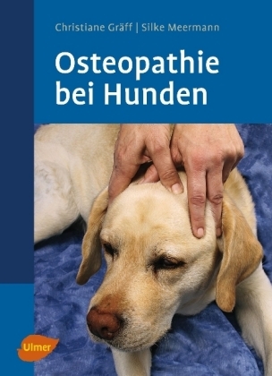 Osteopathie bei Hunden