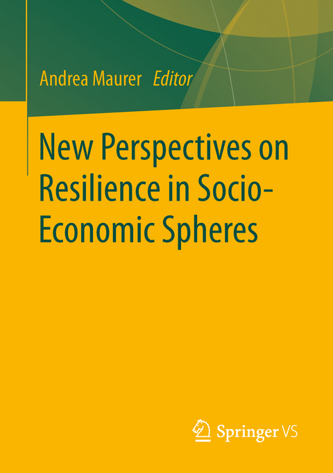 New Perspectives on Resilience in Socio-Economic Spheres - 