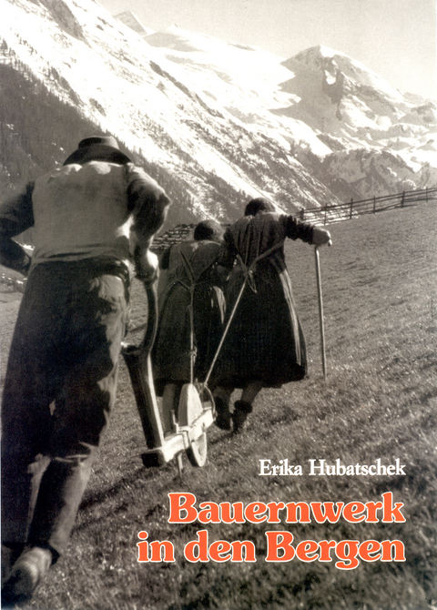 Bauernwerk in den Bergen - Erika Hubatschek