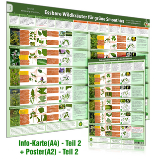 [2er Set] Essbare Wildkräuter für Grüne Smoothies Teil 2 - Erkennungskarte (A4) & Wandposter (A2)