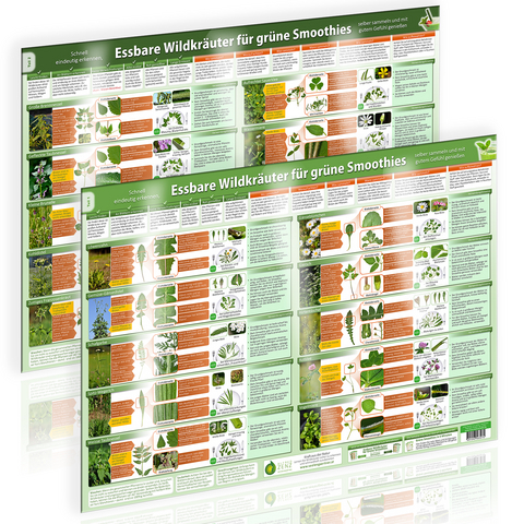 [2er Set] Essbare Wildkräuter für Grüne Smoothies Teil 1 & 2 Wandposter-Set (2024) - Alfred Zenz (Der Seelengärtner), Samuel Cremer,  www.futurepacemedia.de