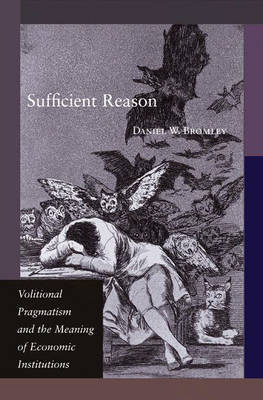 Sufficient Reason - Daniel W. Bromley
