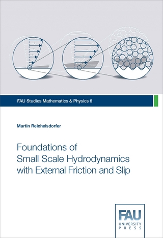 Foundations of Small Scale Hydrodynamics with External Friction and Slip