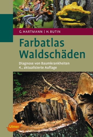 Waldschäden