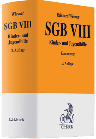 SGB VIII