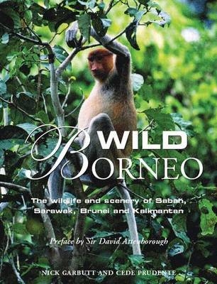 Wild Borneo - Nick Garbutt