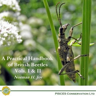 A Practical Handbook of British Beetles