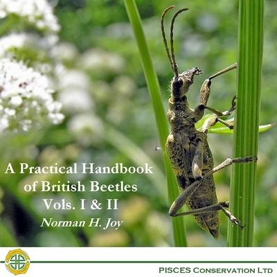 A Practical Handbook of British Beetles - Norman H. Joy