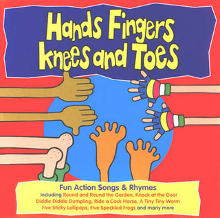 Hands Fingers Knees and Toes