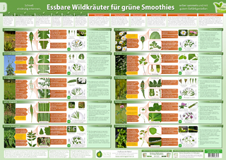Essbare Wildkräuter für Grüne Smoothies Teil 1 - Wandposter (2024). Tl.1