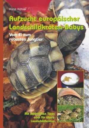 Aufzucht europäischer Landschildkröten-Babys