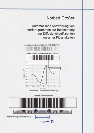 Automatische Auswertung von Interferogrammen zur Bestimmung der Diffusionskoeffizienten Ionischer Flüssigkeiten