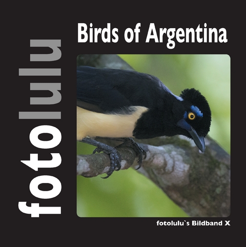 Birds of Argentina -  fotolulu