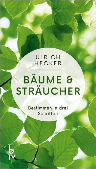 Bäume und Sträucher