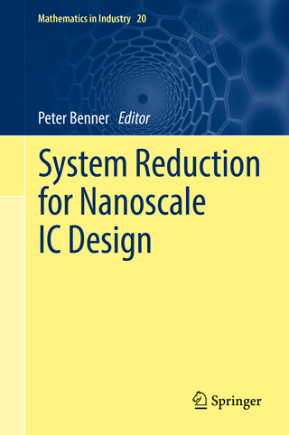 System Reduction for Nanoscale IC Design