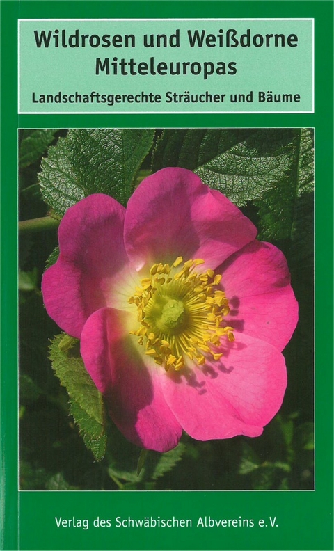 Wildrosen und Wei&szlig;dorne Mitteleuropas - Georg Timmermann, Theo M&uuml;ller