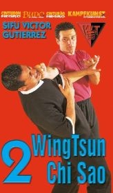 WingTsun
