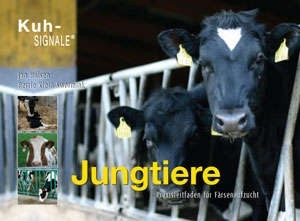 Kuhsignale: Jungtiere