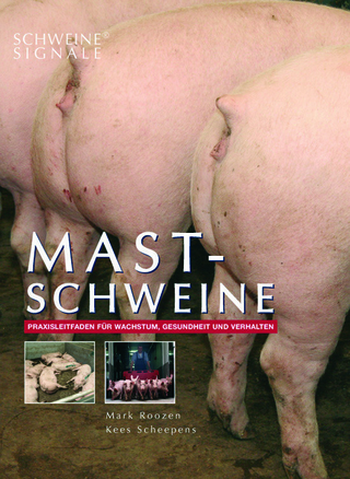 Schweinesignale: Mastschweine